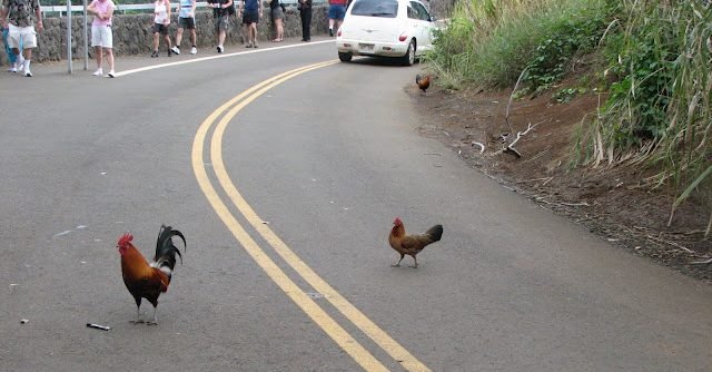 Spreek het Lot met Chicken Road: Speel het Gokspel Online bij Nederlandse, chicken road